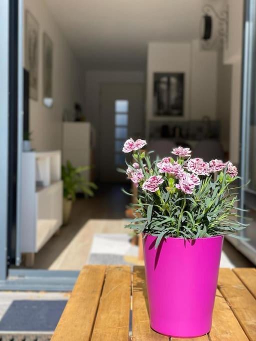 Apartamento Cosy Fleur De Lys